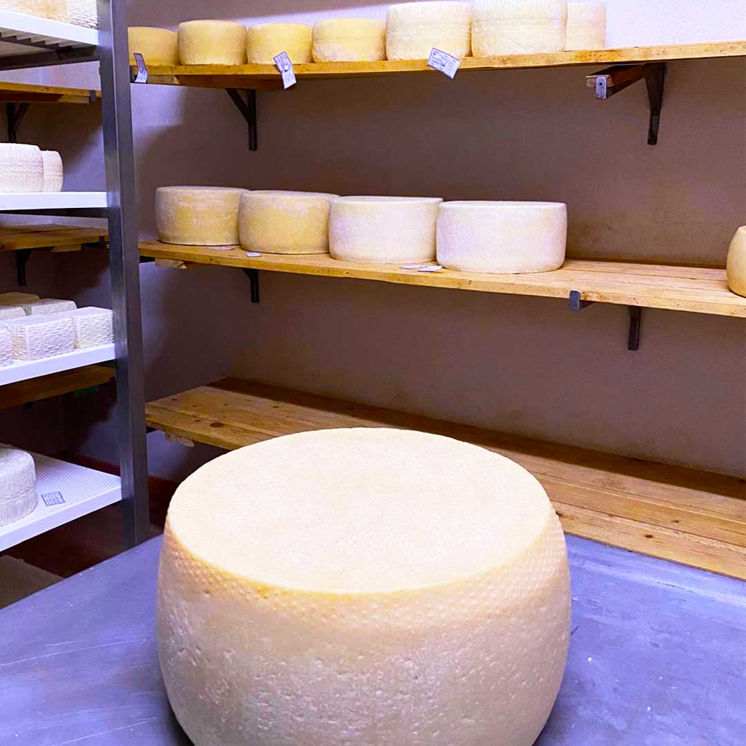 Pecorino Moliterno - stagionato  12 mesi